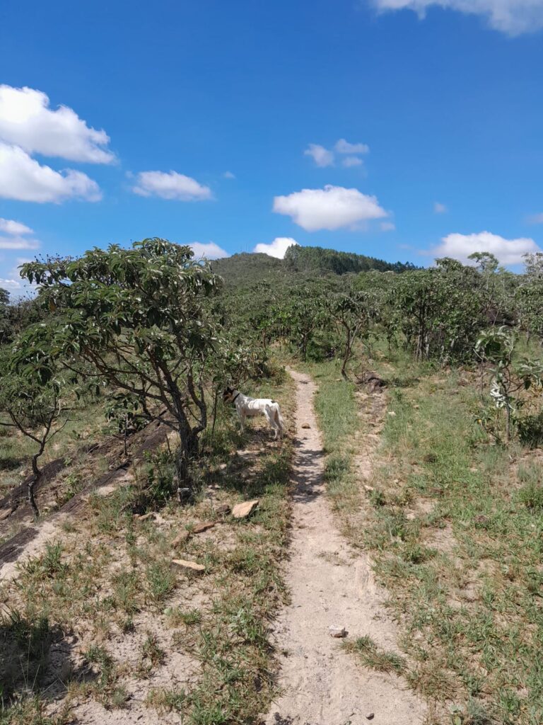 Andrelândia MG Imagens