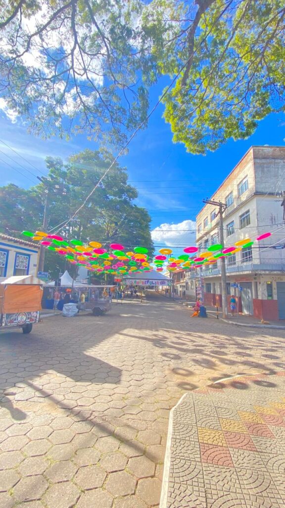 Avenida de Andrelândia em Tom Carnavalesco