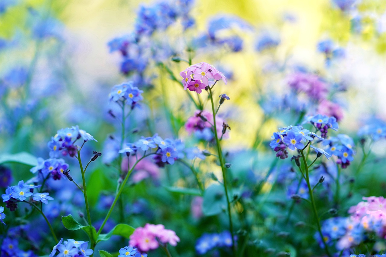 Como Fazer um Jardim de Inverno na Sala: Criando um Refúgio Verde em sua Casa? Esta e outras dúvida você vai tirar agora, clicando aqui