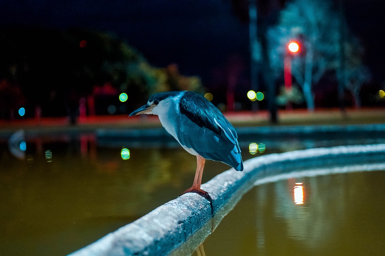 os Melhores Bairros para Morar no Guará, DF